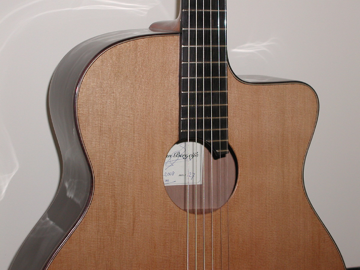 No soundhole inlay this time Custom made 